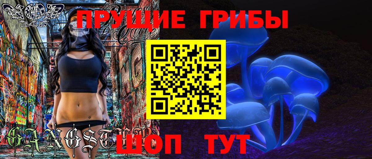 Галлюциногенные грибы GOLDEN TEACHER Будённовск