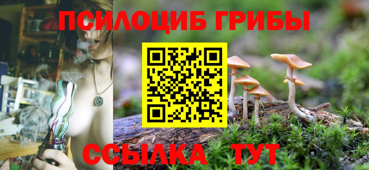Псилоцибиновые грибы MAGIC MUSHROOMS  Вход с VPN  Псилоцибиновые грибы Psilocybine cubensis  Будённовск 